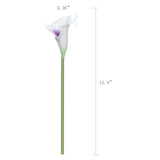 20Pcs Calla Lily Bridal Wedding Bouquet Lataex Real Touch Artificial Flower Home Party Decor (Purple In White)