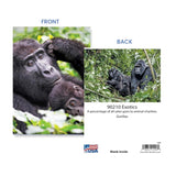Endearing Gorilla Cradling Her Adorable Baby Greeting Card -Larger 5X7 Inch - Blank Inside - Unique Heartwarming Photography For Birthday, Mother’S Day, Thinking Of You Card For Ape, Nature & Animal Lovers