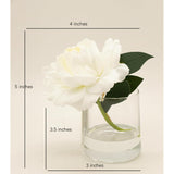Artificial Peony Flowers 1-Pack White In Glass Vase With Faux Water - Real Touch Faux Flowers For Home Decor, Table Centerpieces