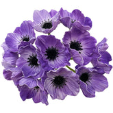 14Pcs Real Touch Anemone Poppy Bouquet For Artificial Flower Decor Kitchen Table Centerpiece Vase Home Greenery Wedding Holding Flowers Backdrop Arch Wall (Purple)
