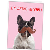 I Mustache You: Will You Be My Valentine Card With Greeting Card Mailing Envelope