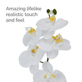 Mikasa Artificial Orchid in Pot, Real Touch Phalaenopsis Orchid, Embossed Weave Cement Pot, 16-Inch Single Branch, White/Yellow