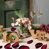 200Pcs Silk Rose Petals Burgundy Artificial Flowers Petals Flower Girl For Wedding Romantic Night Valentines Party Dinner Table Decoration