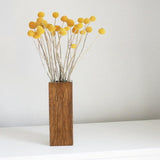 20 Pcs Natural Dried Flowers Craspedia Billy Balls Flowers Billy Buttons Balls Dried Floral Bouquet For Flower Arrangements Wedding Home Tall Vase Crafts Decor Yellow