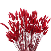 120Pcs Dried Bunny Tails Flowers Red Lagurus Ovatus Tail Dried Flowers Pampas Grass Natural Dried Floral Arrangement For Boho Decor Home Wedding Diy Farmhouse Table Christmas Halloween (17")