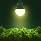 2 Pack Full Spectrum LED Grow Light Bulbs A19 E26 Base 11W 100W Equivalent for Indoor Plants