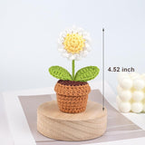 Cute Knitted Flower Plant, Kawaii Handmade Crochet Flowers,Small Potted Artificial Flower Plants, Desk Home Car Dashboard Decorations (Daisy-White)