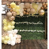 Gold Chrome Metallic Balloons 5 Inch Helium Balloons Thick Latex Gold