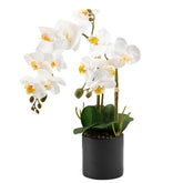 17" Fake White Orchid Flowers In Ceramic Pot,Real Touch Orchids Artificial Flowers Potted Plant,Faux Phalaenopsis Flowers Potting For Home Wedding Table Centerpiece Bathroom Office Decor