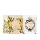 Panier des Sens Provence Candle - Hand-Poured in The South of France - Long Lasting Scented Candles up to 55 Hours Burn Time - Scented Candle - 100% Natural Cotton Wick - 6.3 oz Decorative Candles