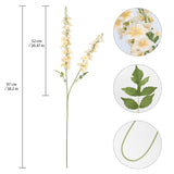 6Pcs Morning Glory Artificial Flowers 38.2'' Champagne Flowers Faux Gladiolus Stems Long Flowers For Tall Vase Home Wedding Party Decor(Champagne)