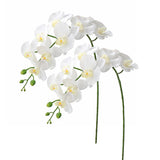 2Pcs Real Touch Orchids Stems Artificial Flowers Fake Phalaenopsis Orchid For Table Centerpiece Home Kitchen Wedding Party Decoration … (White)