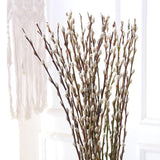 30 Branches Pussy Willow Branches For Vases 23 Inches Natural Dried Pussy Willows Real Dried Flowers 2 Years Long Lasting For Home Decoration