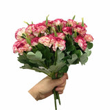 4 Bunches Bouquet Of Artificial Silk Flower Carnations,12" Bouquet And Green Leaf For Home Party,Bridal Wedding Holding Flowers Festival Decor With 10 Per Bunch Flower (Red Edge-White)