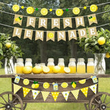 5 Pcs Lemonade Stand Decorations Lemon Sign Banner & Citrus Garland Set