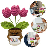 Handmade Crochet Tulips Flowers, Positive Crochet Flower Emotional Support Gift,Inspirational Appreciation Birthday Gifts For Women, Mom, Teacher, Coworker (Never Forget)