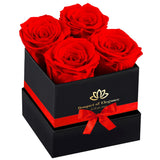 Forever Flowers Roses In A Box,Real Preserved Flowers,Preserved Roses,Preserved Flowers For Delivery,Forever Flower Gifts For Women/Men/Mom,Flowers For Mothers Day,Valentine'S Day Rose Gifts,Red