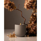 Luxury Scented Candle, Cece Scent, 60-Hour Burn Time, Soy Wax Blend, Organic Cotton Wick, Kiln-Fired Reusable Ceramic Vessel, 8 Oz, 2.0