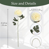 6Pcs Ivory Artificial Chrysanthemums Flowers 21.6’’ Large Faux Mums Bouquet Long Stem Fake Silk Flowers For Wedding Home Kitchen Party Garden Indoor Decoration(Ivory)