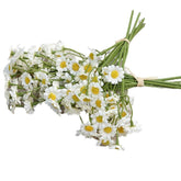 2 Bundle 60Heads Faux Chrysanthemum Artificial Flowers Creative Desktop Ornaments Floral Arrangement Bridal Bouquet Home Decorations(10.24Inch,White)