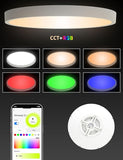 12 Inch Smart Ceiling Light White RGB Dimmable Alexa Google Fixture
