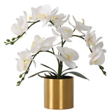 Potted Artificial Orchid Flowers,Real Touch White Fake Artificial Orchid Flower In Gold Vase Arrangement For Table Living Room Decoration (White,Gold Vase)