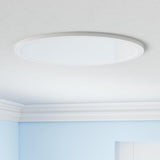12 Inch Motion Sensor LED Ceiling Light with Remote 2400LM Dimmable Flush Mount