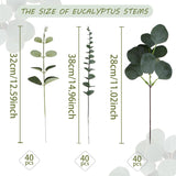 120 Pcs 3 Kinds Mixed Artificial Eucalyptus Leaves Stems Fake Silver Dollar Eucalyptus Leaves Stem Bulk Faux Leaf For Diy Bouquets Floral Arrangement Wedding Home Decor