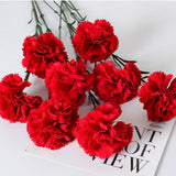 10Pcs Artificial Flowers Carnation Flower,Silk Carnations Flower Bouquets, For Wedding, Home Office Garden Decoration, Table Centerpieces, Floral Arrangements (Red)