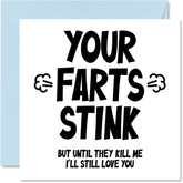 Funny Valentines Card For Him - Your Farts Stink - Valentine'S Day Card For Boyfriend Partner Fiance, 5.7 X 5.7 Inch Greeting Cards, Birthday Anniversary Valentine Card Husband From Wife Girlfriend