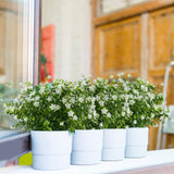 8 Bundles Artificial Flowers Fake Boxwood Shrubs Uv Resistant No Fade Faux Greenery Plastic Lotus For Home Garden Hanging Planter Indoor Outdoor Porch Patio Office Wedding Decoration(Off-White)
