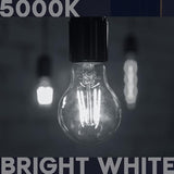 Vintage A19 LED Edison Light Bulb 100W Equivalent 12W Dimmable 5000K Bright White E26 Clear Glass