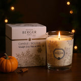 - Scented Candle - Holiday Collection - 4 Inches Height, 3.25 Inches Diameter - 8.4 Ounces - 240 Grams (Pumpkin Spice)