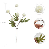 10 Pcs Chrysanthemum Flowers Artificial White Kiku Flowers Small Pom Pom Mums Flower Mini Chrysanthemum Ball Flowers For Diy Bouquet Centerpieces Arrangements Shower