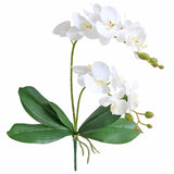 Artificial Phaleanopsis Flowers Fake Orchids Leaves Branches For Home Bonsai Garden Decoration (White)