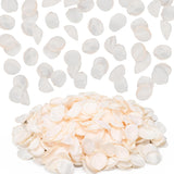 Ivory Rose Petals, 600 Pcs Silk Flower Petals For Wedding Decorations, Artificial Petals For Table Centerpieces Party Bridal Showers Birthday Wedding Ceremony Decor