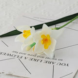 18“Artificial Daffodils Flowers Narcissus Faux Spring Flowers Fake Silk Daffodil Flower Arrangement Artificial Daffodil Bundles For Home Decor Centerpiece Wedding Bouquet 8 Pcs (White)