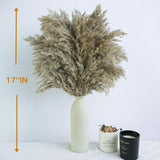 17Inch Natural Dried Pampas Grass 30 Stems - Boho Home Decor For Table Centerpieces, Wedding, Floral Arrangements(Natural)