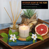 - Wave Candle | White Grapefruit & Salty Ozone | Award Winning Scented Candles With Premium Soy Wax Blend I 60 Hour Long Burning I 9 Oz I Small Batches For Luxury Quality In Decorative Jar