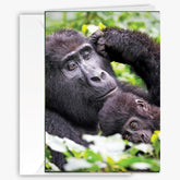 Endearing Gorilla Cradling Her Adorable Baby Greeting Card -Larger 5X7 Inch - Blank Inside - Unique Heartwarming Photography For Birthday, Mother’S Day, Thinking Of You Card For Ape, Nature & Animal Lovers
