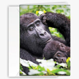 Endearing Gorilla Cradling Her Adorable Baby Greeting Card -Larger 5X7 Inch - Blank Inside - Unique Heartwarming Photography For Birthday, Mother’S Day, Thinking Of You Card For Ape, Nature & Animal Lovers