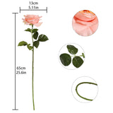 2Pcs Fake Austin Rose Peonies Flowers Real Touch Peach Roses With Stems 25.60'' Latex Peony Artificial Flowers For Home Decor Flower Arrangement Wedding Centerpieces Valentine'S Day (Peach)