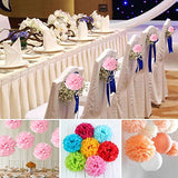 10pcs Tissue Hanging Paper Pom-poms Flower Ball Wedding Party Outdoor Decoration, Premium Tissue Paper Pom Pom Flowers Craft Kit(Pink)