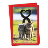 - Happy Valentine'S Day Greeting Card With Envelope - Loving, Heartfelt Notecard For Valentine (1 Card) - Loving Animals Cats C3504Bvdg