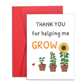 Teacher Appreciation Gifts Bulk, End Of Year Teachers Gift Cards, Thank You Teacher Card, Teachers Gifts Card, Teacherretirement Gift For Women, Thank You For Helping Me Grow Cards With Envelope
