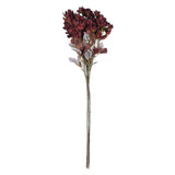 Vickerman 25.5" Burgundy Artificial Primrose Flower Spray, 3 per Bag.
