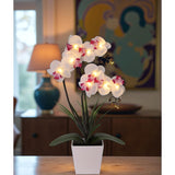 Orchid Lamp-Led Lighted Orchid Arrangements,Pre Lit Artificial Orchid,Light Up Flower Lights, Faux Orchid Phalaenopsis Arrangement (White)