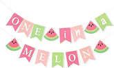 One in a Melon Banner Watermelon Theme 1st Birthday & Party Photo Props