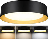 13 Inch Black Gold LED Ceiling Light 2400LM Dimmable Flush Mount Fixture