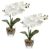 White Orchids Artificial Flowers With Vase, Small Faux Orchid Arrangement Set Of 2 Fake Flowers In Glass Vases Small White Centerpieces For Kitchen Dining Room Tables Bathroom Nightstand Shelf Decor